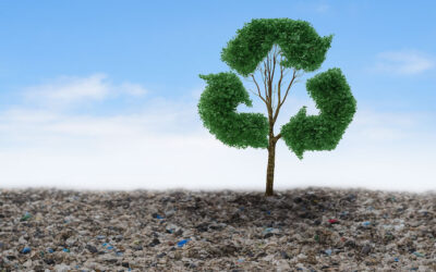 Understanding Landfills in South Africa: What They Are and Why They Matter